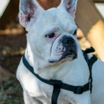 Программы лояльности казино без депозита с бонусами и привилегиями