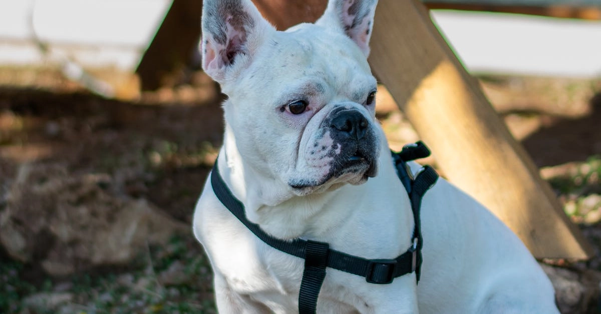 Программы лояльности казино без депозита с бонусами и привилегиями